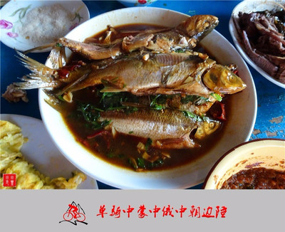 老驥伏櫪,志在千里,單騎中蒙中俄中朝邊陲。